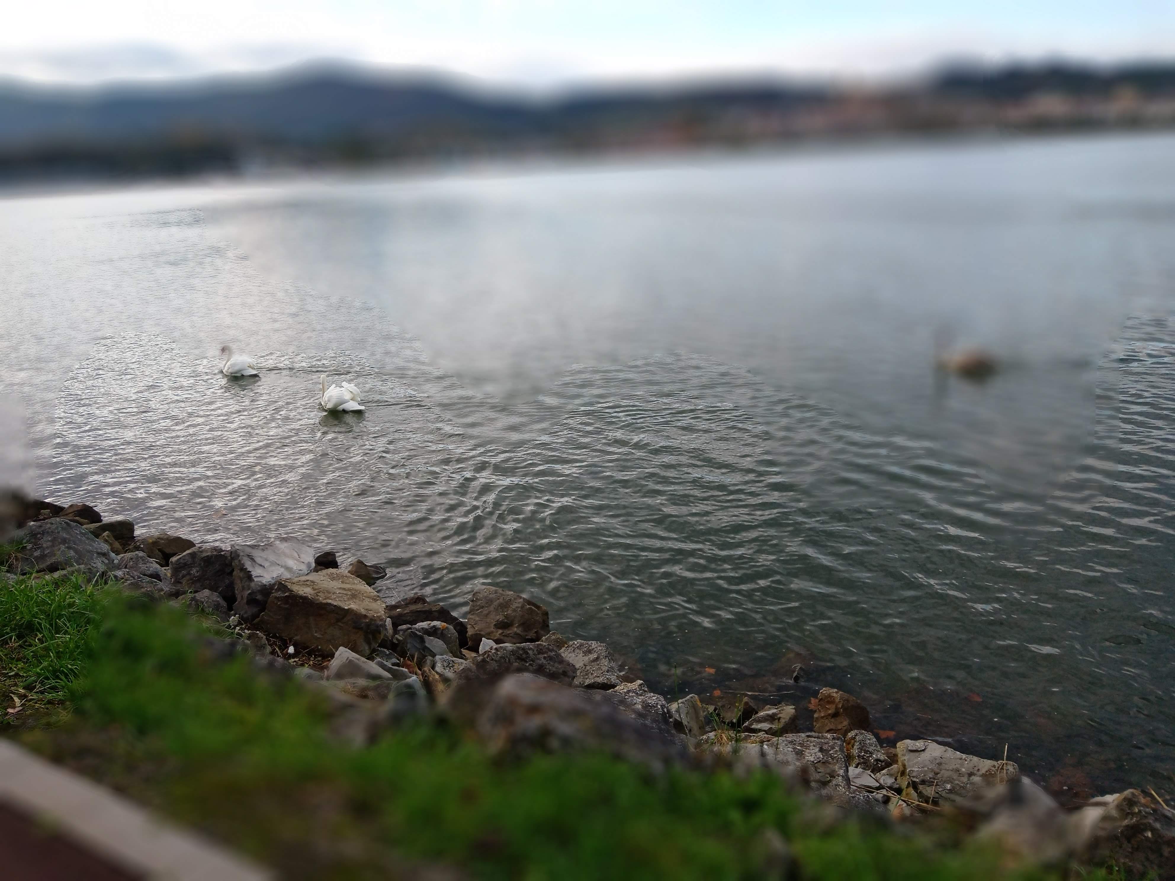 Photo n° 1 de l'avis de René.e fait le 13/11/2021 à 15:51