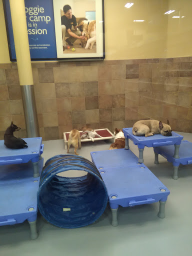 Pet Supply Store «PetSmart», reviews and photos, 9041 Snowden Square Dr, Columbia, MD 21045, USA