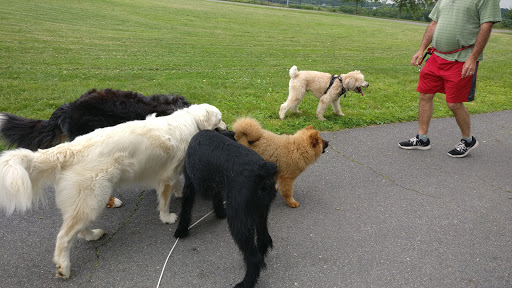 Park «Millennium Park», reviews and photos, 300 Gardner Street, West Roxbury, MA 02132, USA