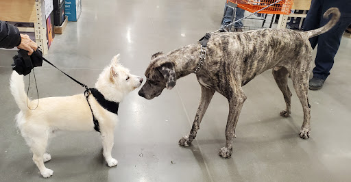 Home Improvement Store «The Home Depot», reviews and photos, 5411 Columbia Pike, Spring Hill, TN 37174, USA