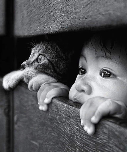 Barber Shop «sharp stylez barbershop», reviews and photos, 3334 Broadway Blvd #414, Garland, TX 75043, USA