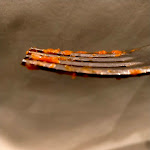 Photo n°1 de l'avis de Anastasia.a fait le 05/04/2023 à 07:20 sur le  Hotel Club Sorrento à Sant'Agnello