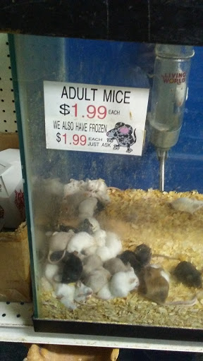 Tropical Fish Store «Midway Tropical Fish & Pets», reviews and photos, 24101 Pacific Hwy S, Kent, WA 98032, USA