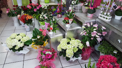 Espace Floral à Raismes