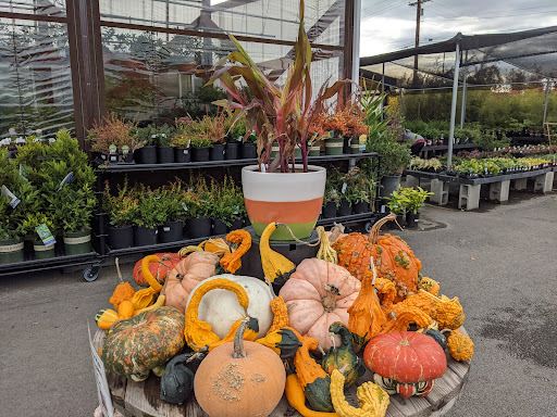Garden Center «Kent East Hill Nursery», reviews and photos, 11644 SE 240th St, Kent, WA 98031, USA