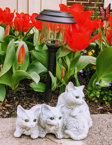 Park «Fairland Recreational Park», reviews and photos, 3928 Greencastle Rd, Burtonsville, MD 20866, USA