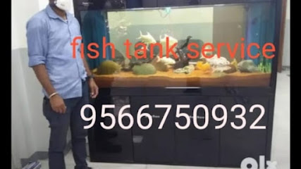 Fish tank service