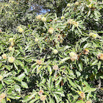 Photo n°2 de l'avis de Robert.t fait le 09/10/2021 à 15:51 sur le  Wallberghütte Deidesheim à Deidesheim