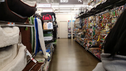 Pet Supply Store «Pet Supplies Plus», reviews and photos, 400 Lowell Ave Suite 14, Haverhill, MA 01832, USA