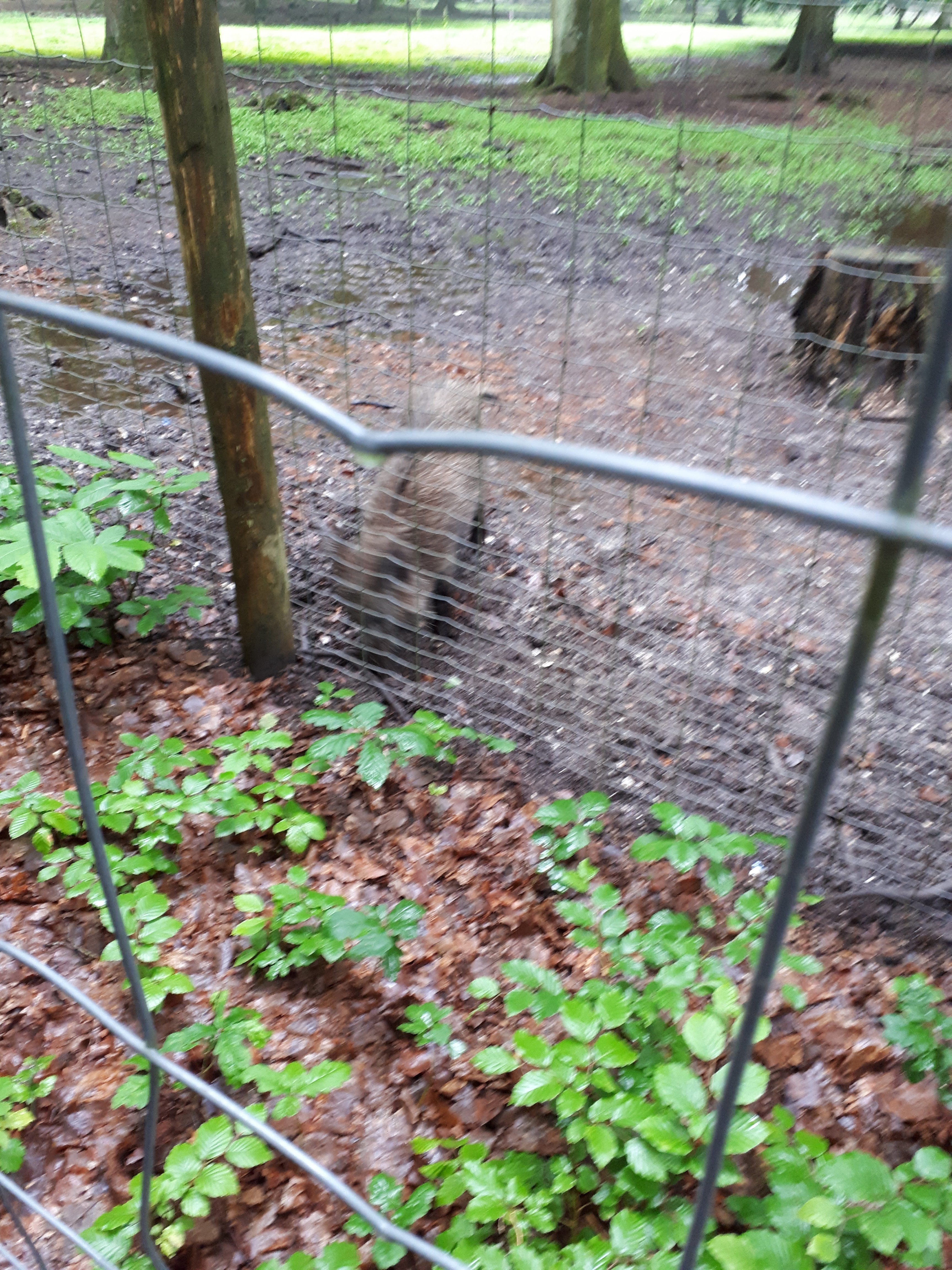 Photo n° 1 de l'avis de Davy.r fait le 05/06/2018 à 16:33