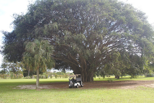 Country Club «Redland Golf & Country Club», reviews and photos, 24451 SW 177th Ave, Homestead, FL 33031, USA