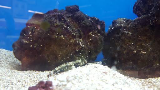 Pet Supply Store «Petco Animal Supplies», reviews and photos, 103 Commerce Way a, Woburn, MA 01801, USA