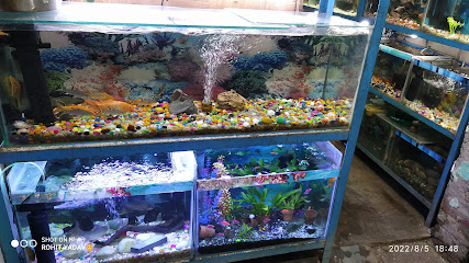 Rahul Fish Aquarium