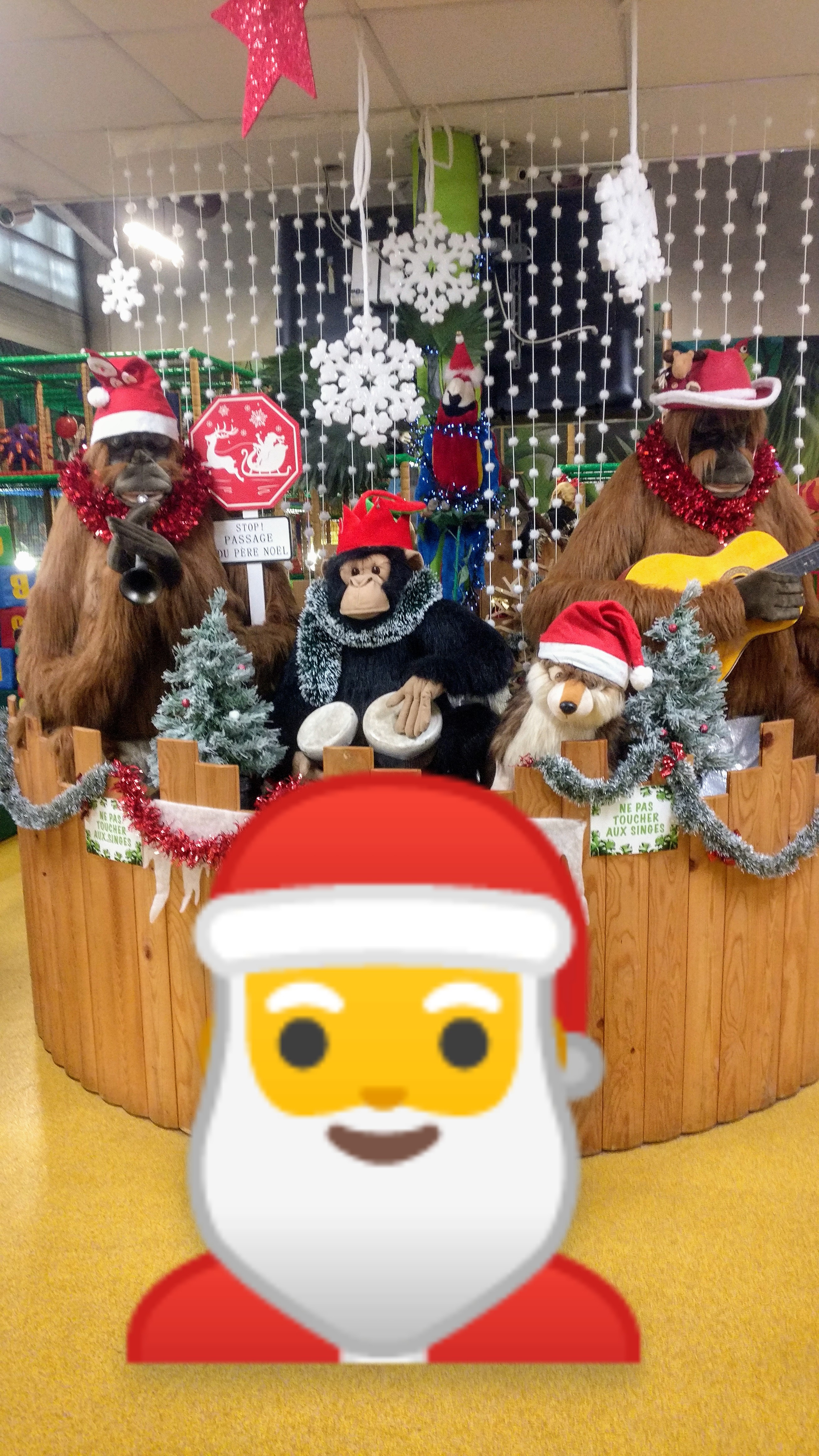 Photo n° 6 de l'avis de Ryana. fait le 20/12/2019 à 13:37