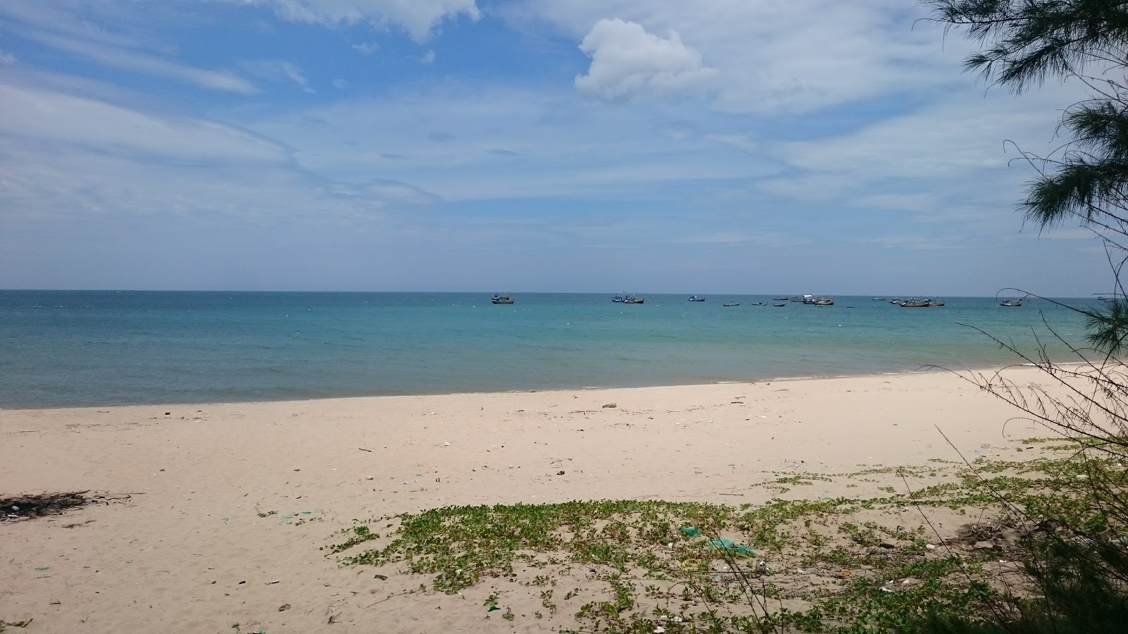 Long Son Beach的照片 带有长直海岸
