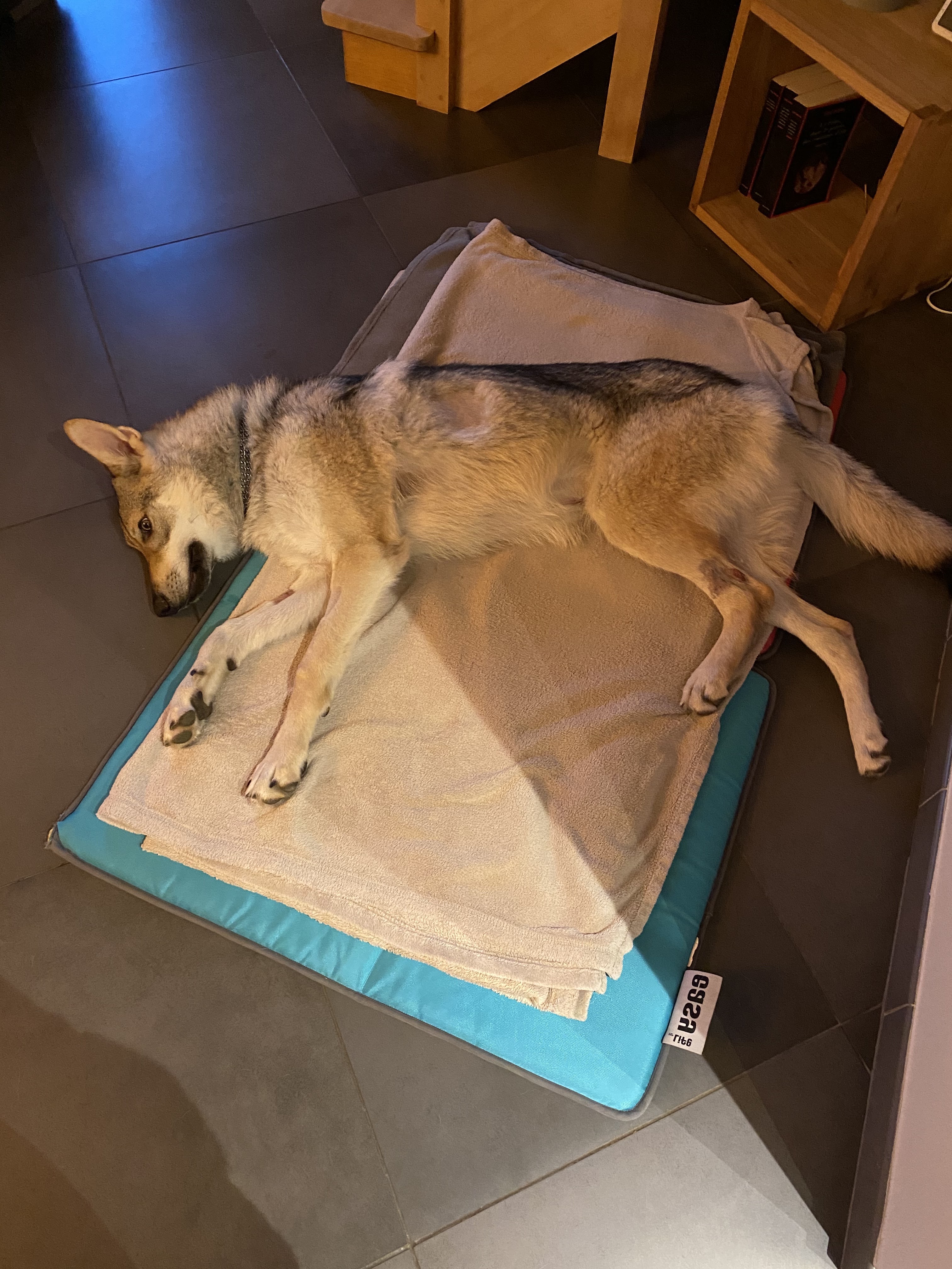 Photo n° 1 de l'avis de Charlotte.a fait le 19/10/2021 à 23:07