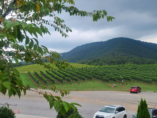 Winery «Yonah Mountain Vineyards», reviews and photos, 1717 GA-255, Cleveland, GA 30528, USA