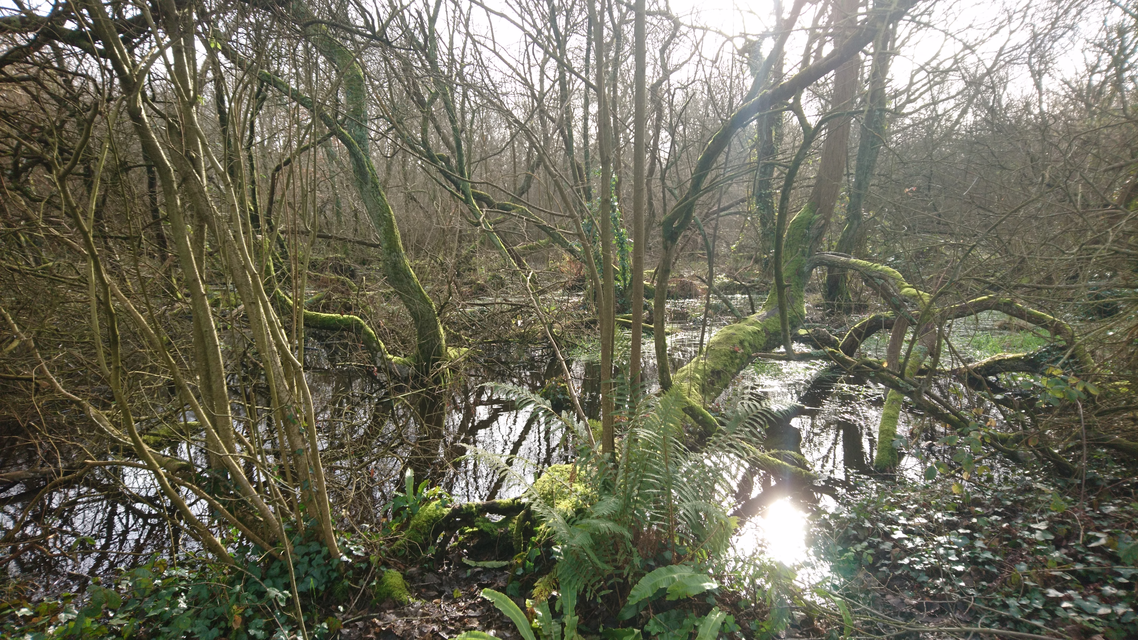 Photo n° 3 de l'avis de jean-yves.a fait le 31/01/2020 à 15:47