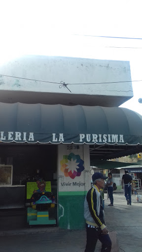 Tortilleria La Purisima