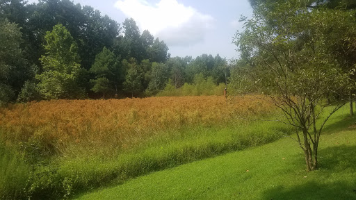 Park «Big Creek Park», reviews and photos, 1600 Old Alabama Rd, Roswell, GA 30076, USA