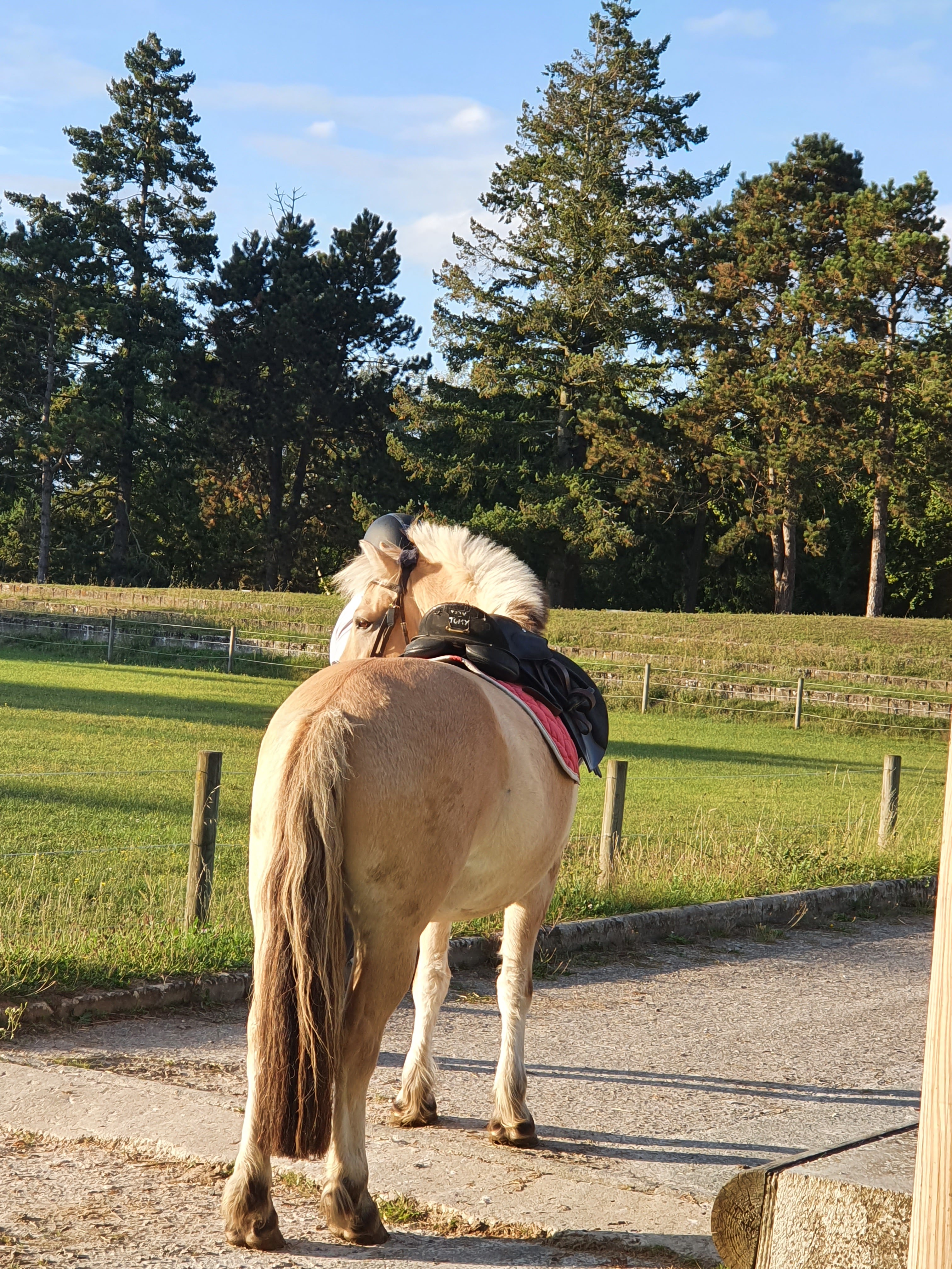 Photo n° 1 de l'avis de Lætitia.E fait le 03/08/2021 à 12:10