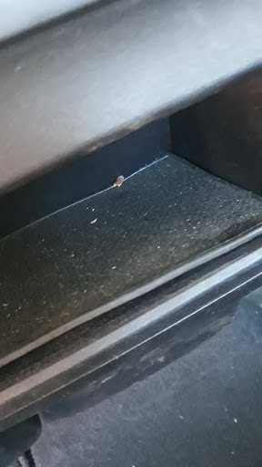 Car Detailing Service «Body Beautiful Carwash - Pacific Hwy», reviews and photos, 2045 Pacific Hwy, San Diego, CA 92101, USA