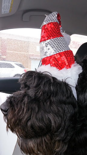 Pet Supply Store «Petco Animal Supplies», reviews and photos, 1220 Commons Cir, Plover, WI 54467, USA