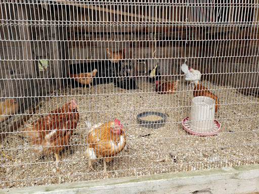 Farm «Russell Orchards», reviews and photos, 143 Argilla Rd, Ipswich, MA 01938, USA