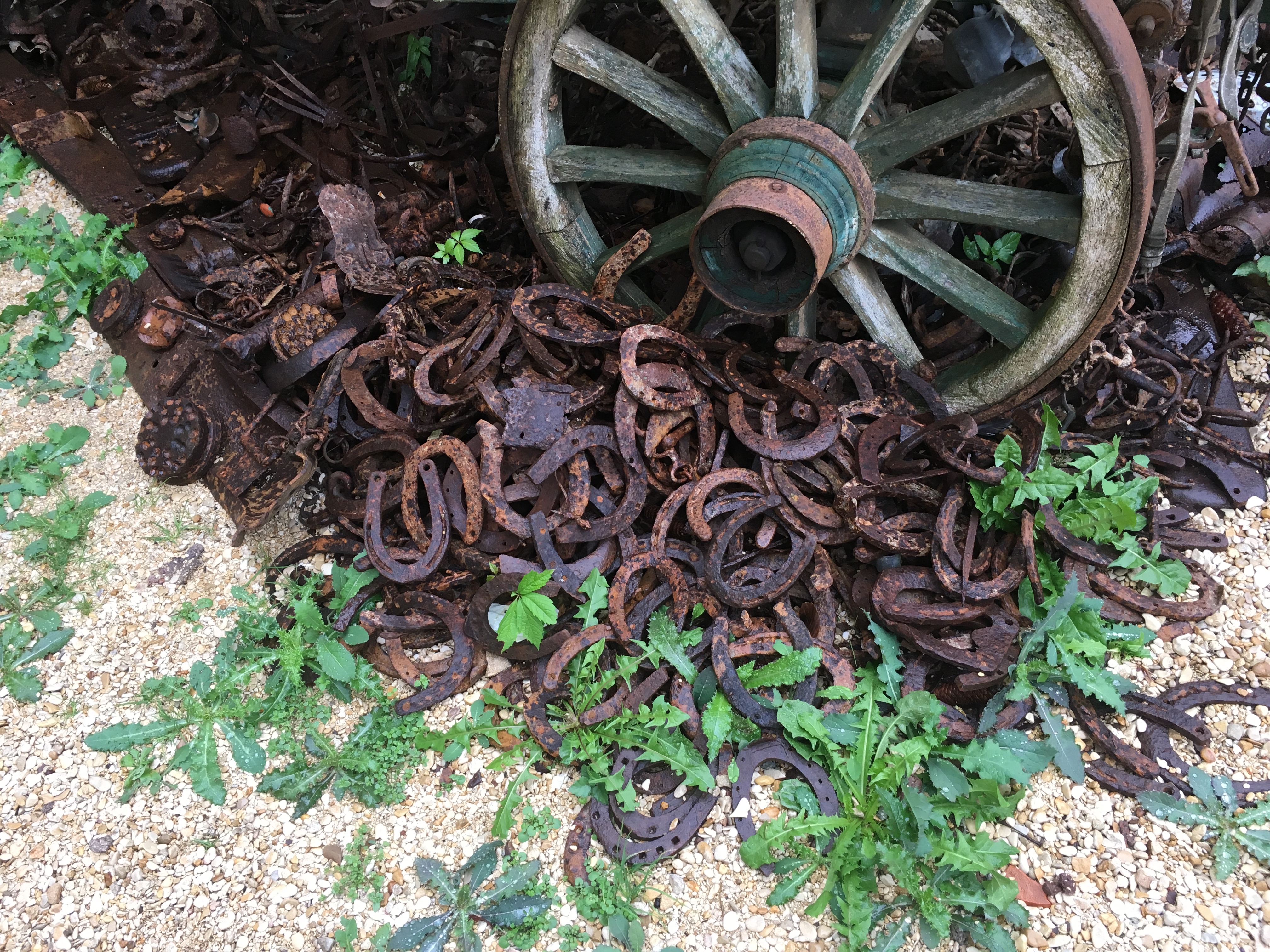 Photo n° 2 de l'avis de chiel.o fait le 01/10/2019 à 07:32