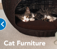 PetSmart - Photo 7 - Car repair in Abilene, TX, Abilene