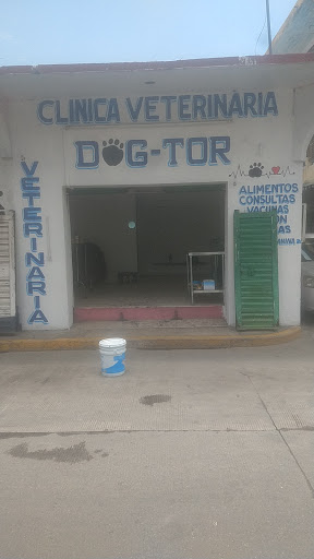 Veterinaria Dog-tor