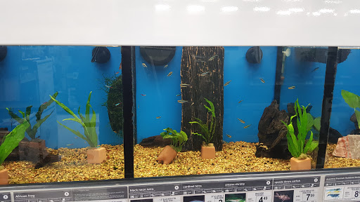 Pet Supply Store «Petco Animal Supplies», reviews and photos, 2617 196th St SW #141, Lynnwood, WA 98036, USA