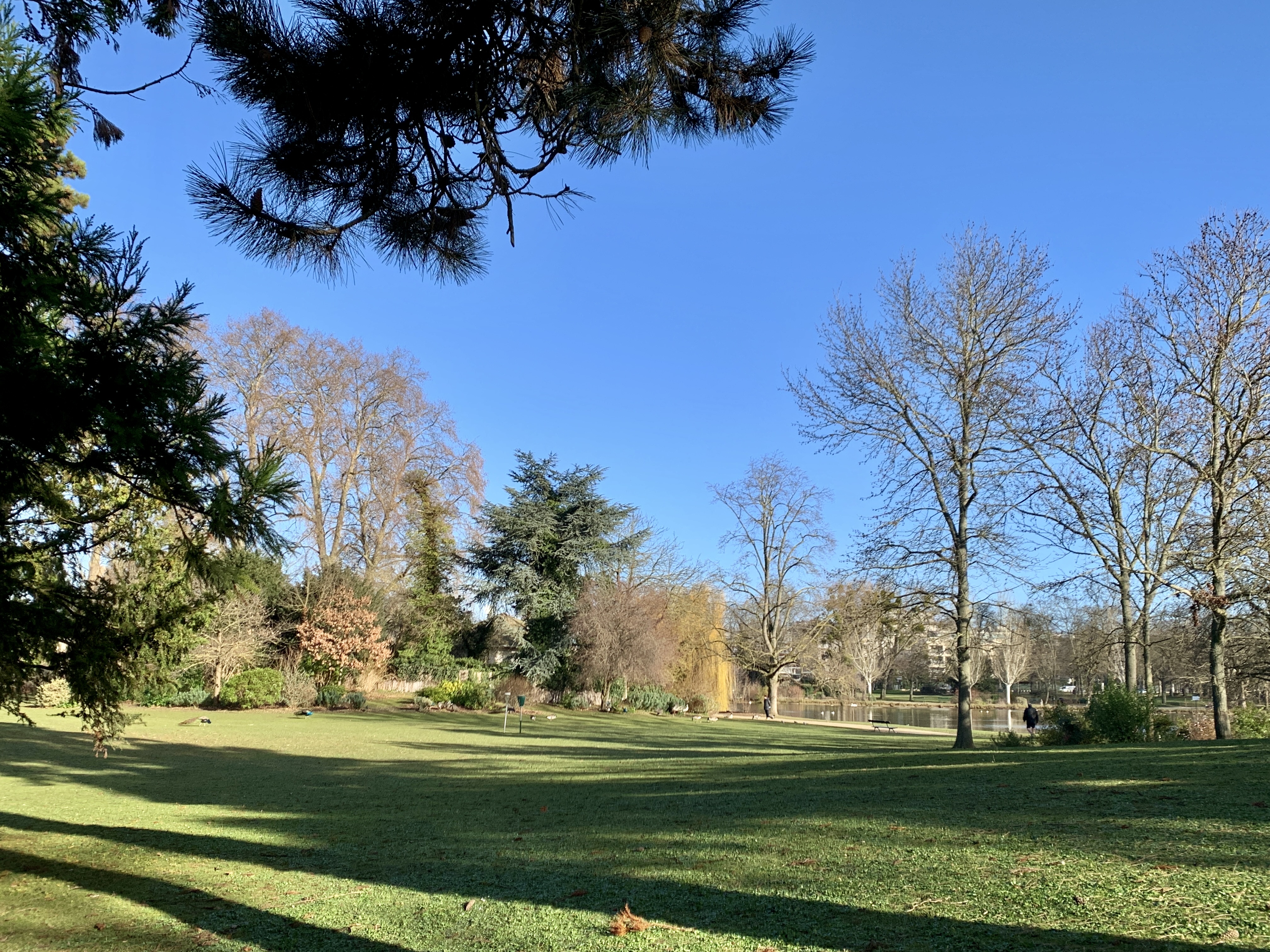 Photo n° 20 de l'avis de Agnès. fait le 10/02/2022 à 08:51