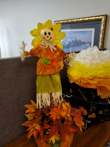 Loan Agency «Community Quick Cash Advance and Payday Loan», reviews and photos, 1671 S Old Hwy 141, Fenton, MO 63026, USA