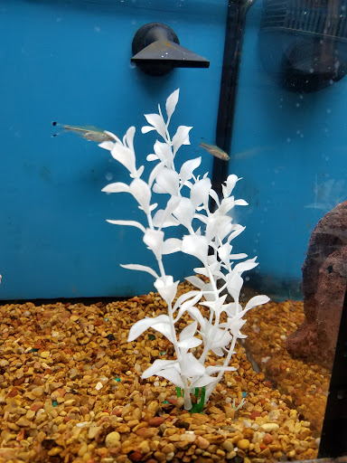 Pet Supply Store «Petco Animal Supplies», reviews and photos, 1337 N National Rd, Columbus, IN 47201, USA