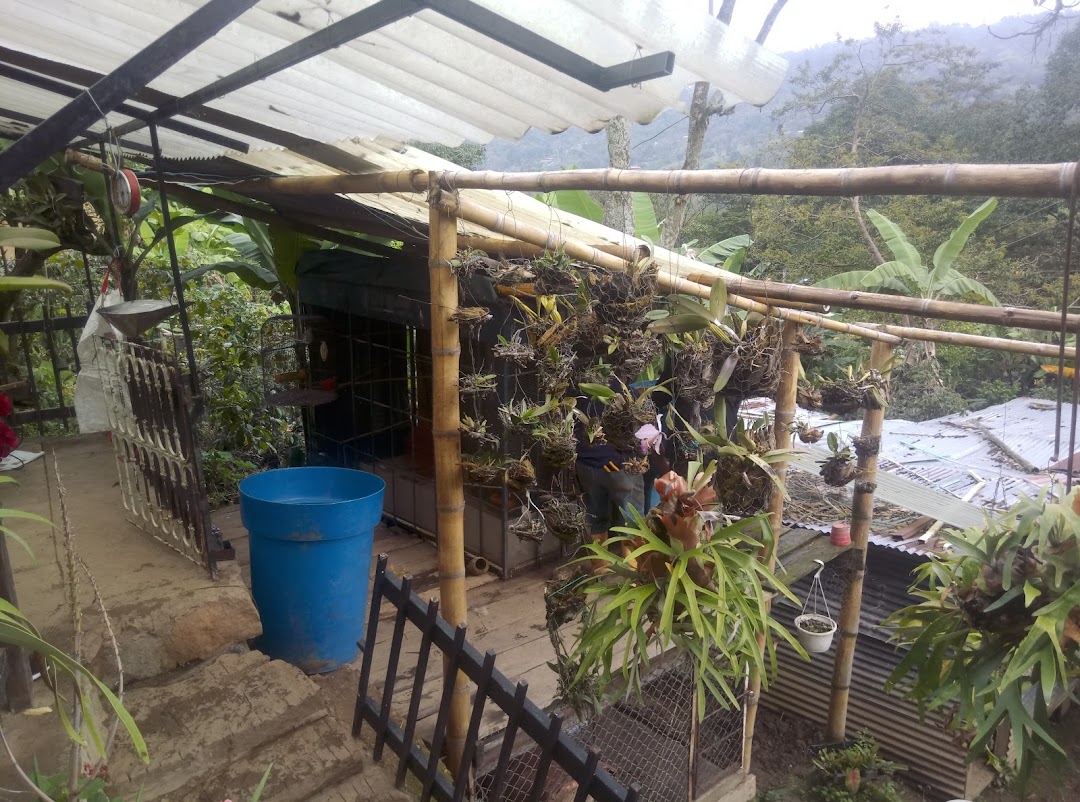 FINCA EL JORDAN