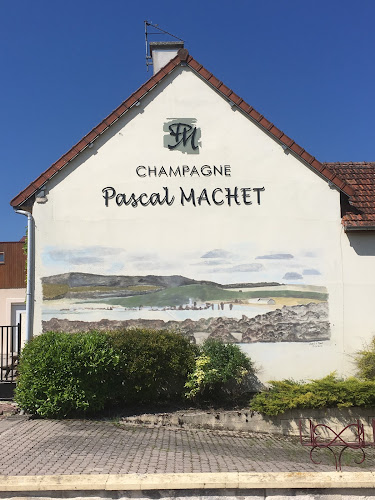 Champagne Pascal MACHET à Vaudemange