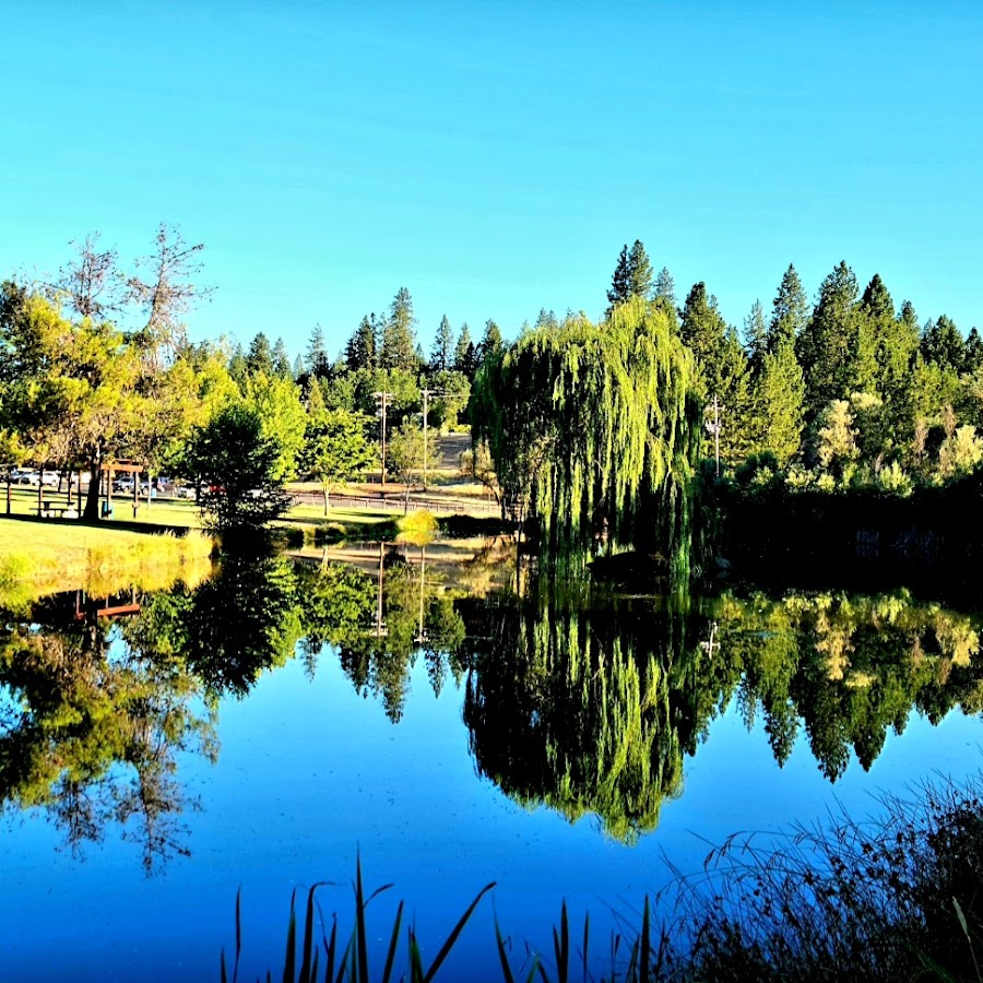 Meadow Vista Park