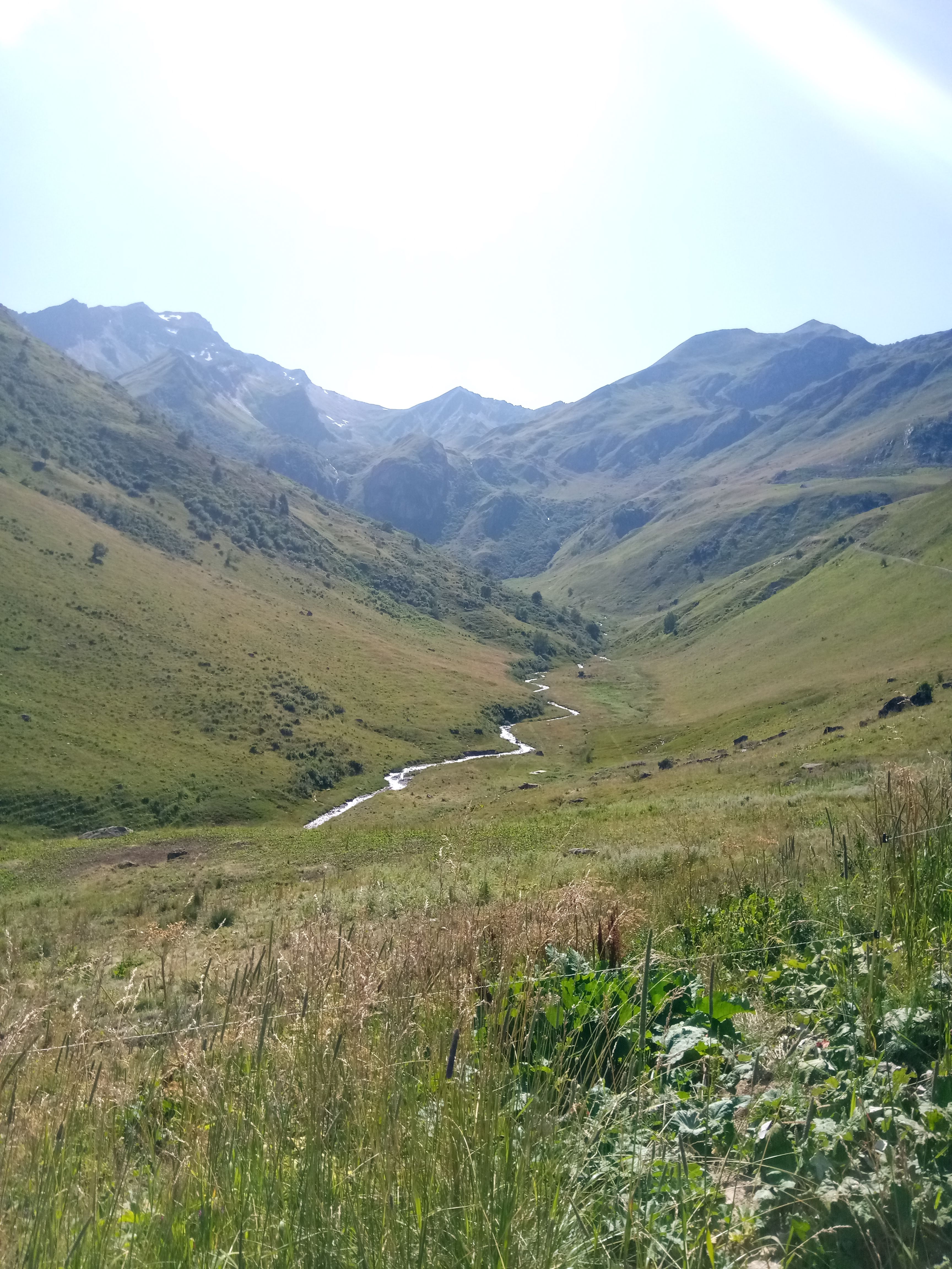 Photo n° 3 de l'avis de Loli.e fait le 12/09/2020 à 14:51
