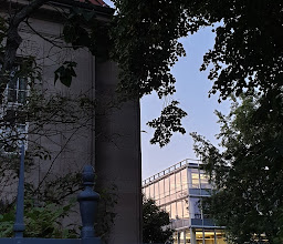 Alltours Kino photo
