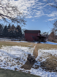 Cottonwood Kennels - Photo 5 - Car repair in Boulder, CO, Thornton