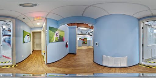 Kennel «Pampered Pets», reviews and photos, 601 Concord Ave, Charlottesville, VA 22903, USA