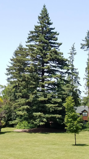 Park «Washburne Park», reviews and photos, E 21st Ave & Agate Street, Eugene, OR 97403, USA