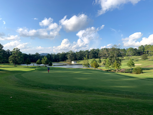 Golf Club «City Club Marietta», reviews and photos