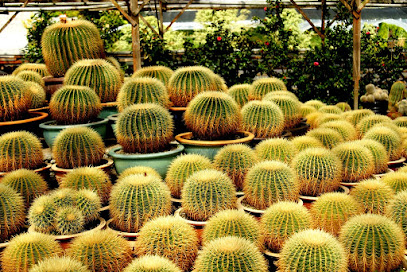 Cactus Valley Sdn. Bhd.