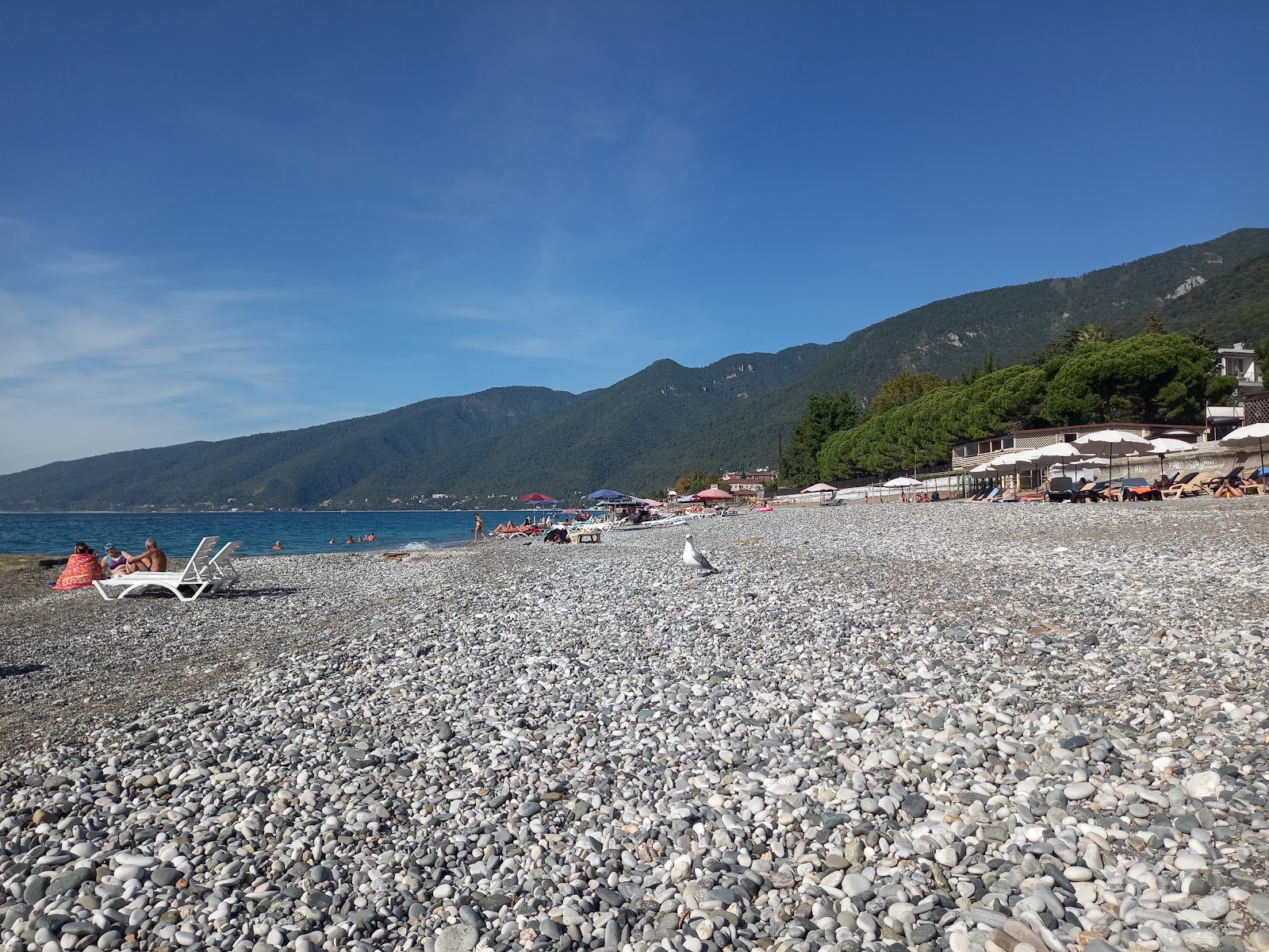 Foto di Gagra beach ubicato in zona naturale