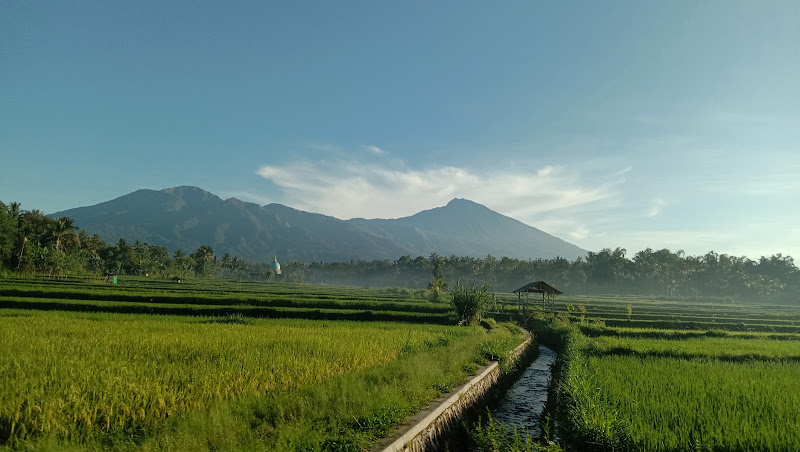 10 Titik Pemandangan Menakjubkan di Kabupaten Lombok Timur: Menawarkan Keindahan yang Mengagumkan