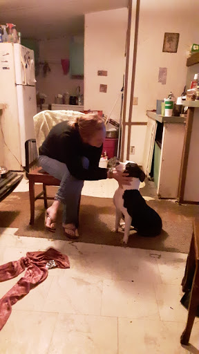 Pet Supply Store «Pet Supplies Plus», reviews and photos, 211 Golden Isles Plaza, Brunswick, GA 31520, USA