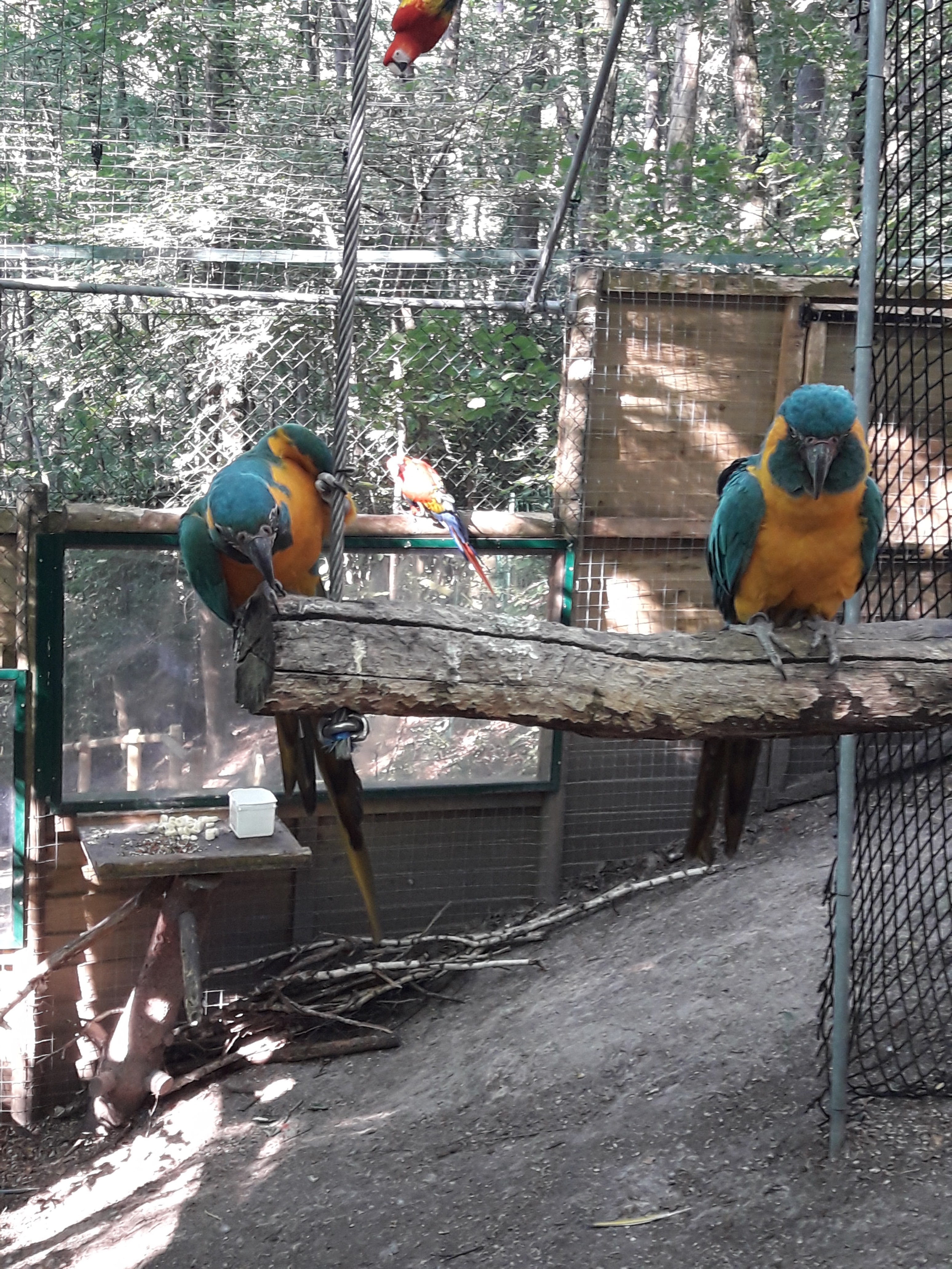 Photo n° 18 de l'avis de Christophe.l fait le 01/07/2018 à 13:30