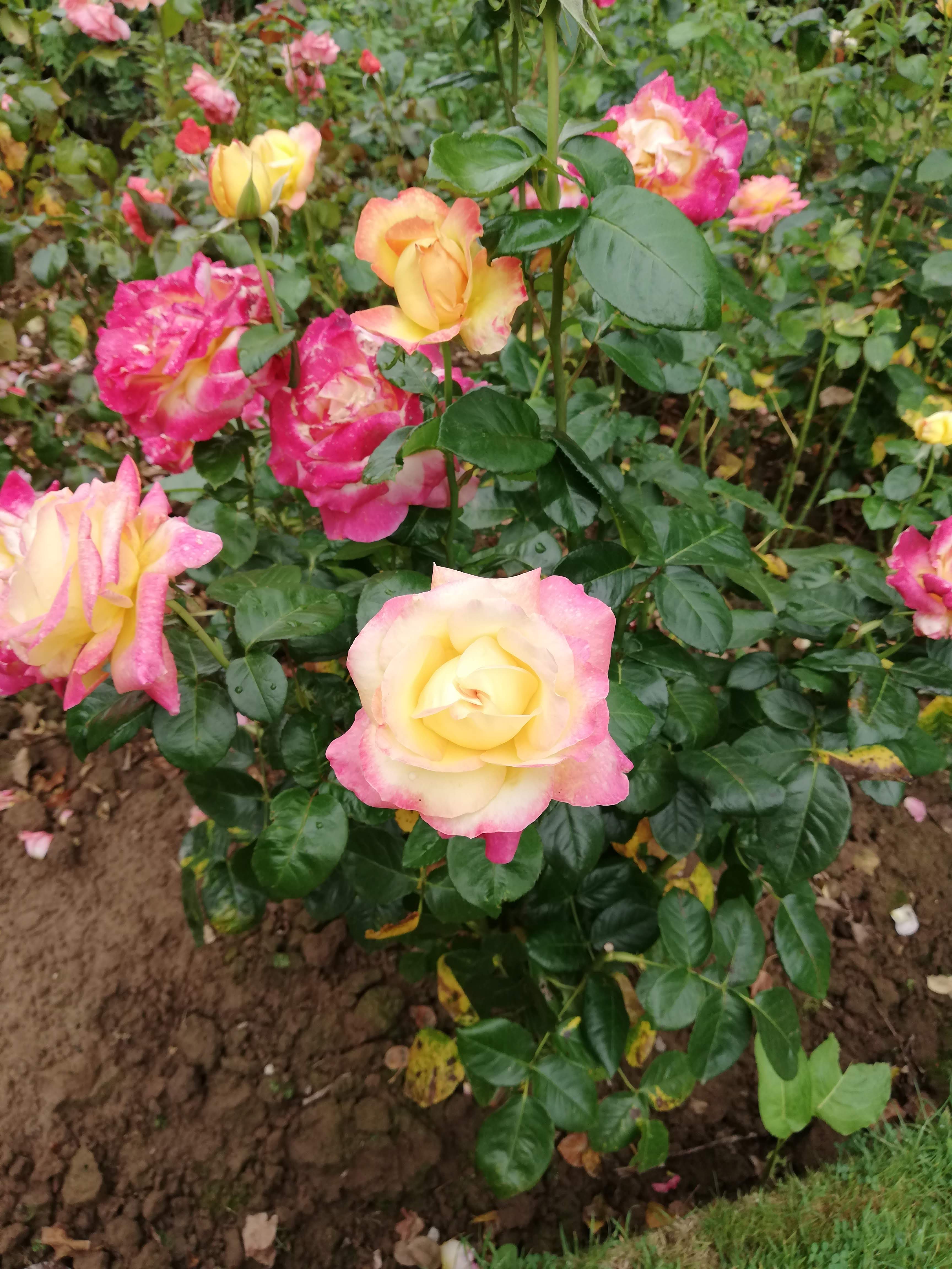 Photo n° 3 de l'avis de lili.o fait le 16/08/2020 à 18:56